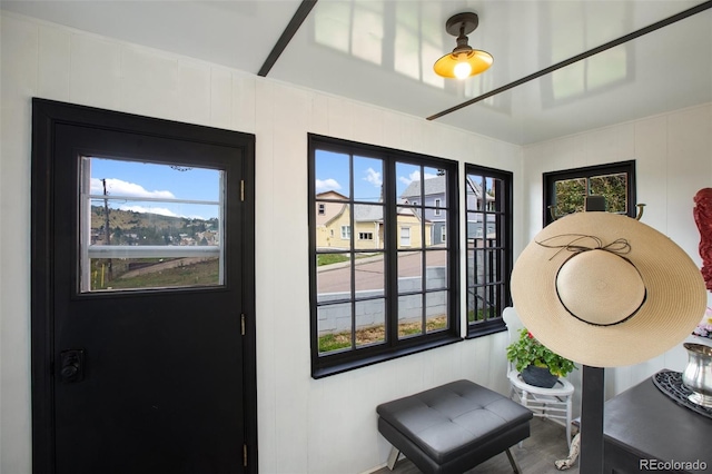 entryway featuring a wealth of natural light