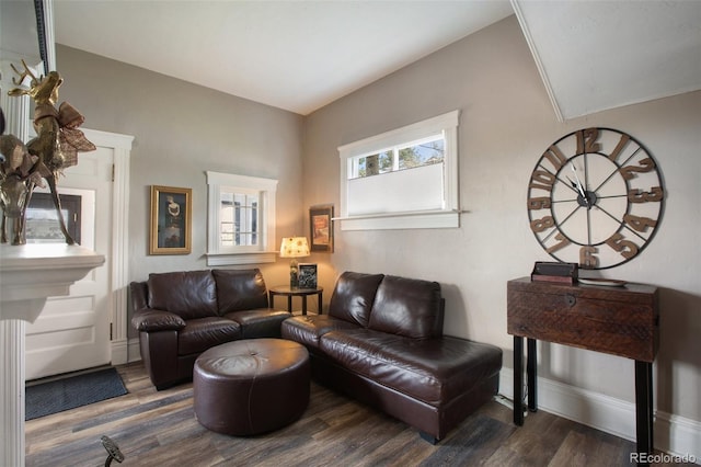 living room with dark hardwood / wood-style floors