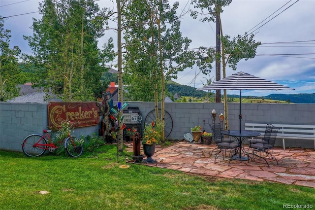 view of yard with a patio area