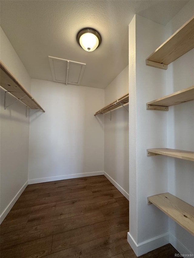 walk in closet with attic access and dark wood-style flooring