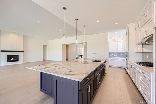 366 Agoseris Way, Castle Rock, CO 80104 - photo 8