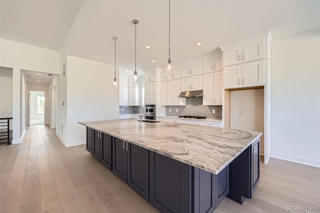366 Agoseris Way, Castle Rock, CO 80104 - photo 9