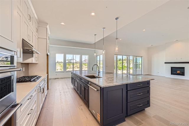 366 Agoseris Way, Castle Rock, CO 80104 - photo 11