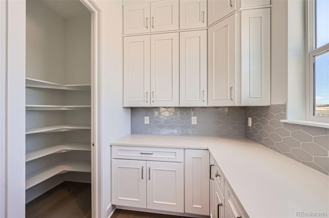 366 Agoseris Way, Castle Rock, CO 80104 - photo 12