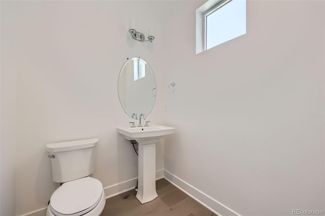 366 Agoseris Way, Castle Rock, CO 80104 - photo 14