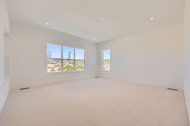 366 Agoseris Way, Castle Rock, CO 80104 - photo 15