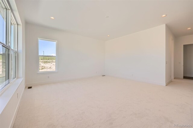 366 Agoseris Way, Castle Rock, CO 80104 - photo 17