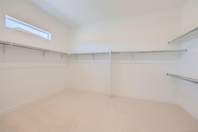 366 Agoseris Way, Castle Rock, CO 80104 - photo 21