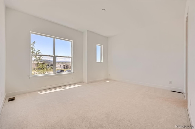 366 Agoseris Way, Castle Rock, CO 80104 - photo 22