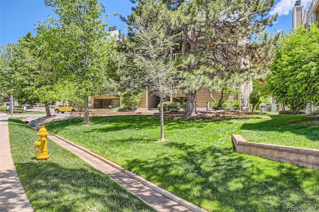 view of property's community featuring a lawn