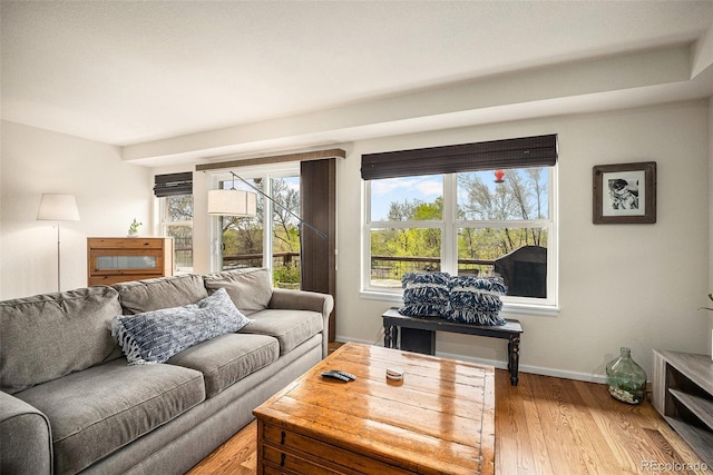 living room with baseboards and light wood-style floors