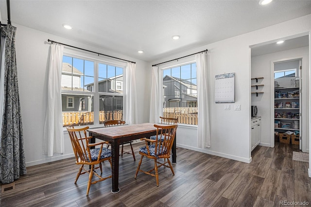 dining room with plenty of natural light and dark hardwood / wood-style floors