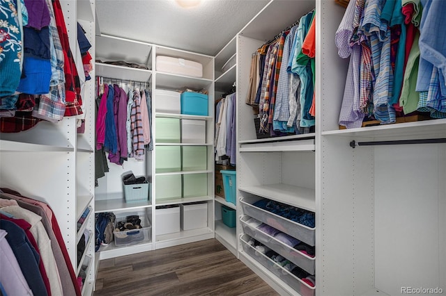 spacious closet featuring dark wood-type flooring