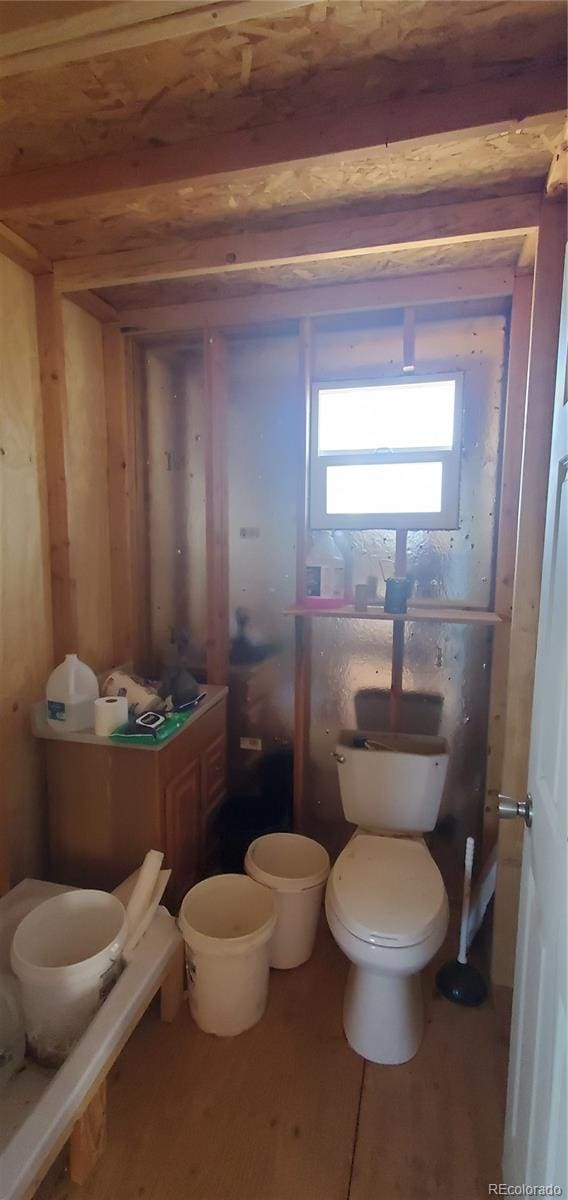 bathroom with toilet