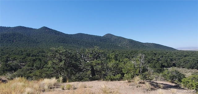 view of mountain feature