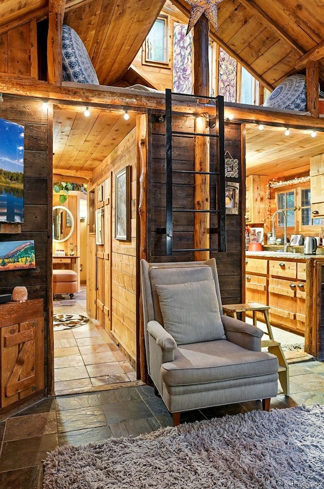 1634 Caribou Rd, Nederland, CO 80466 - view of patio featuring a sink