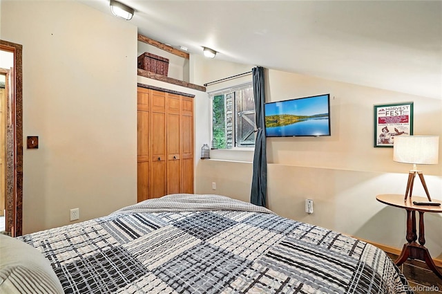 1634 Caribou Rd, Nederland, CO 80466 - bedroom with lofted ceiling and a closet