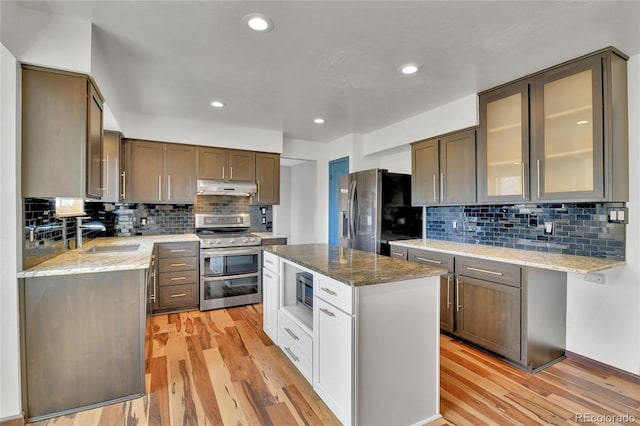 kitchen featuring light wood-type flooring, a sink, appliances with stainless steel finishes, and under cabinet range hood