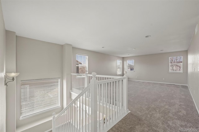 16404 E 117th Ave, Commerce City, CO 80022 - photo 19