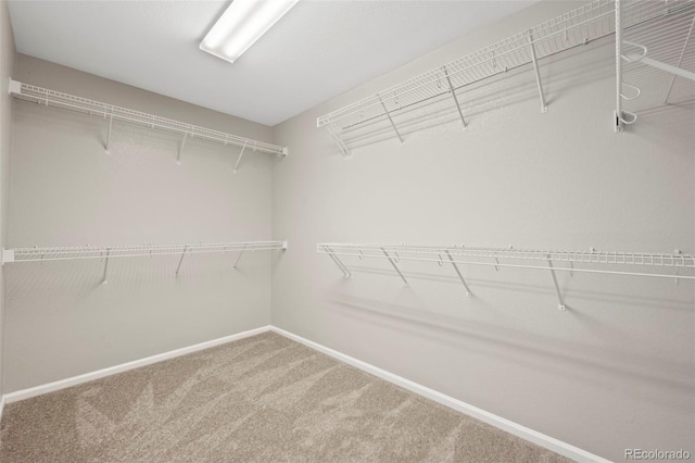 16404 E 117th Ave, Commerce City, CO 80022 - photo 33