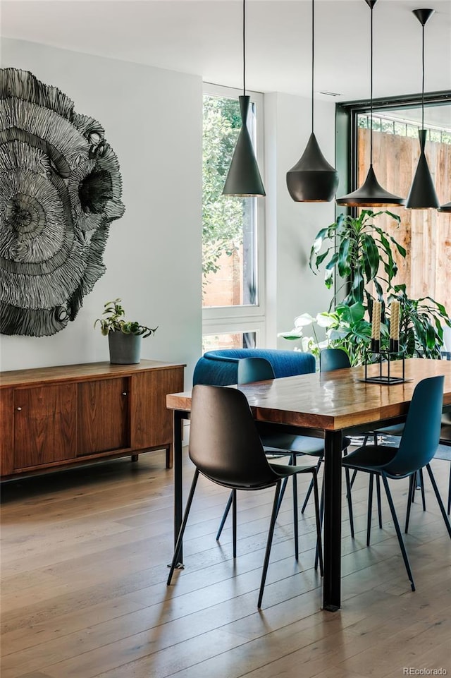 dining room featuring a wall of windows and light wood-type flooring