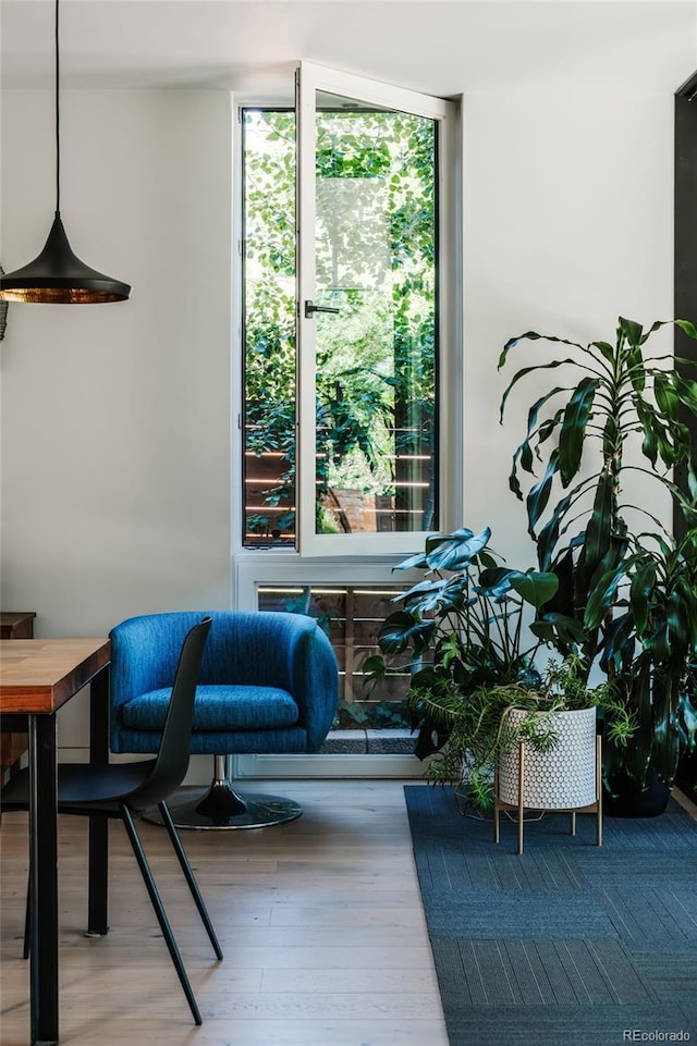 interior space with a wall of windows and wood finished floors