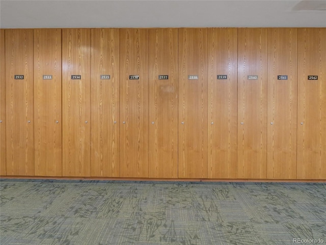 interior space featuring carpet floors and wood walls