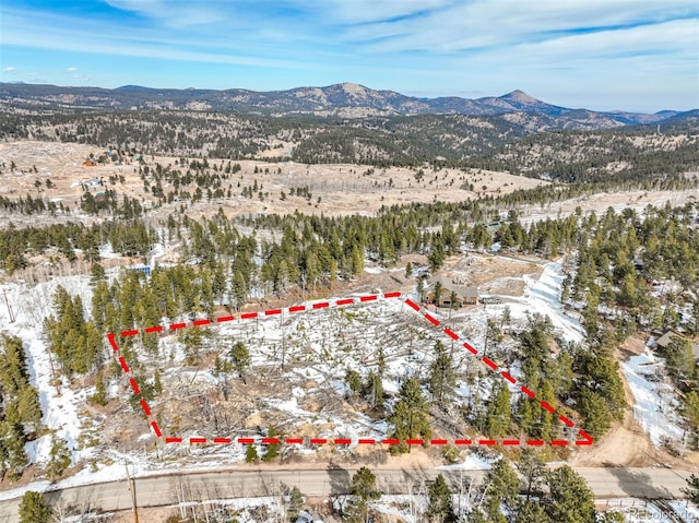 1513 Ridge Rd, Nederland CO, 80466 land for sale