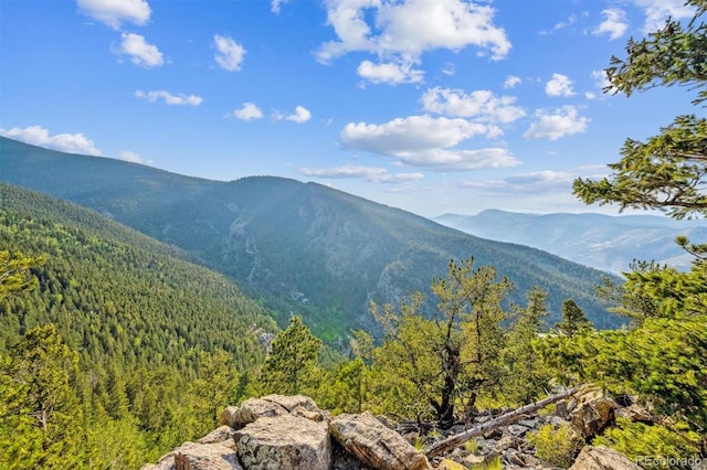 1809 Santa Fe Mountain Rd, Evergreen, CO 80439 - photo 41