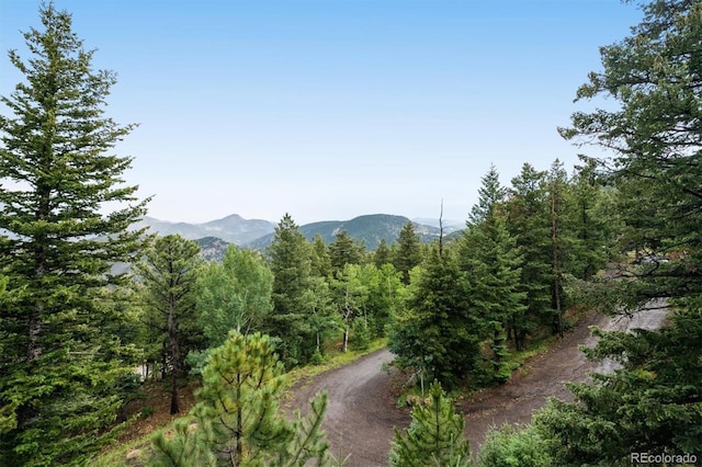 1809 Santa Fe Mountain Rd, Evergreen, CO 80439 - photo 42