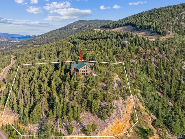 1809 Santa Fe Mountain Rd, Evergreen, CO 80439 - photo 6