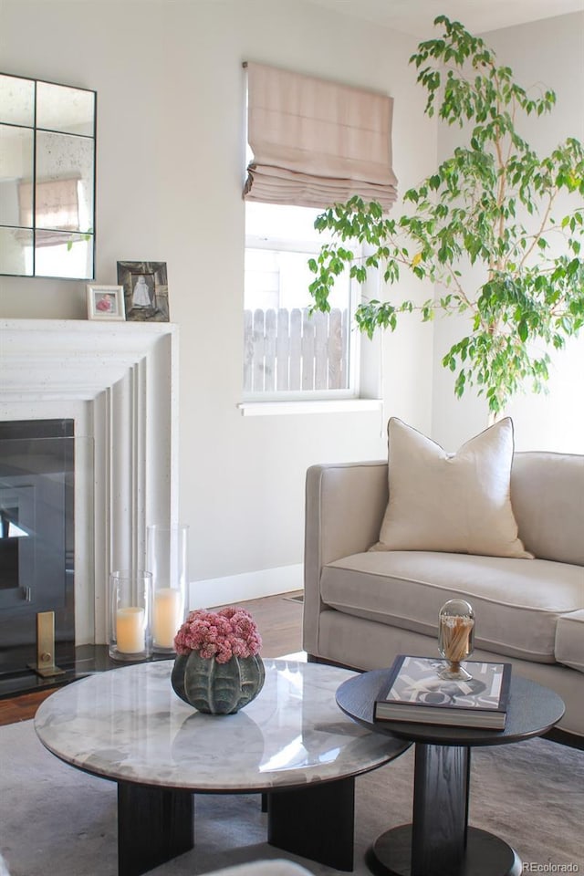 living room with baseboards, wood finished floors, and a healthy amount of sunlight