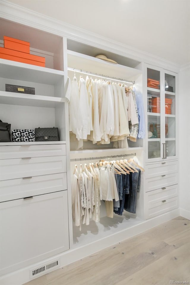 closet with visible vents