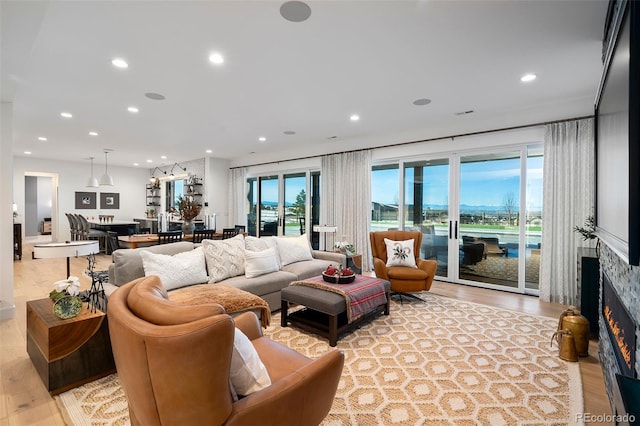 living room featuring plenty of natural light, light hardwood / wood-style floors, and french doors