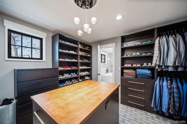 view of walk in closet