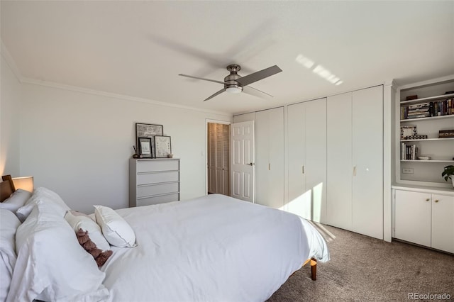 carpeted bedroom with crown molding, ceiling fan, and multiple closets