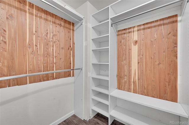 walk in closet featuring wood finished floors