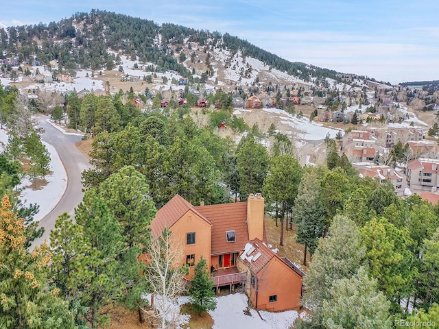 birds eye view of property featuring a mountain view