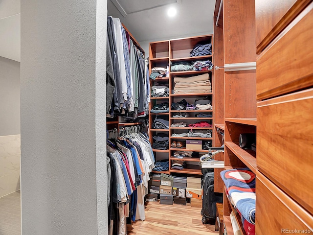 spacious closet with light hardwood / wood-style floors