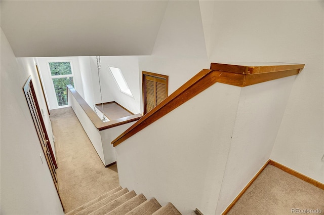 23485 Bluestem Dr, Golden, CO 80401 - photo 20