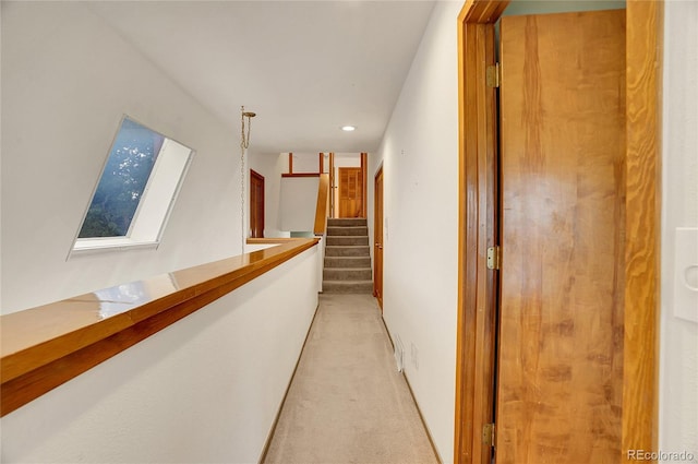 23485 Bluestem Dr, Golden, CO 80401 - photo 21