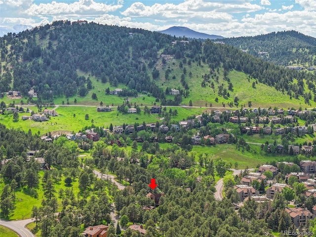 23485 Bluestem Dr, Golden, CO 80401 - photo 35