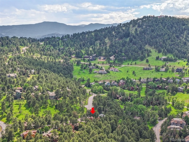 23485 Bluestem Dr, Golden, CO 80401 - photo 40