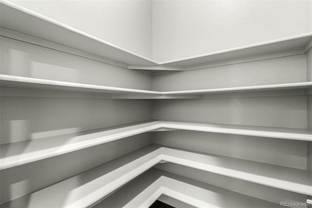 17490 W 94th Dr, Arvada, CO 80007 - view of pantry
