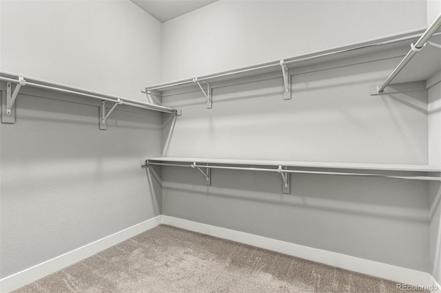 17490 W 94th Dr, Arvada, CO 80007 - spacious closet with carpet floors