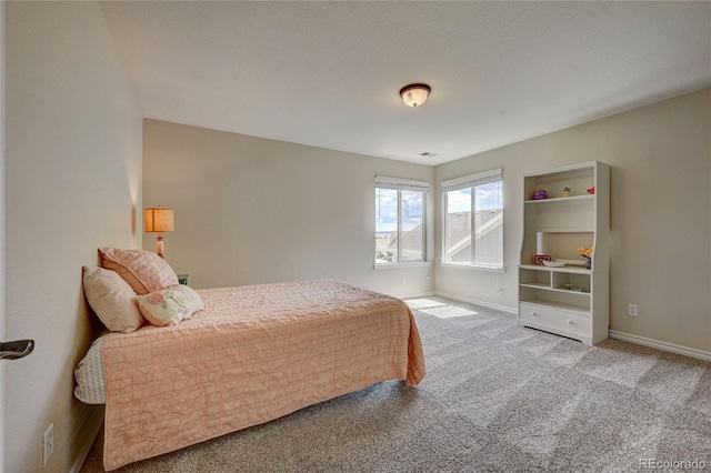 4864 Harness Ct, Parker, CO 80134 - bedroom featuring carpet and baseboards