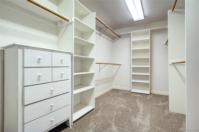 walk in closet featuring light colored carpet