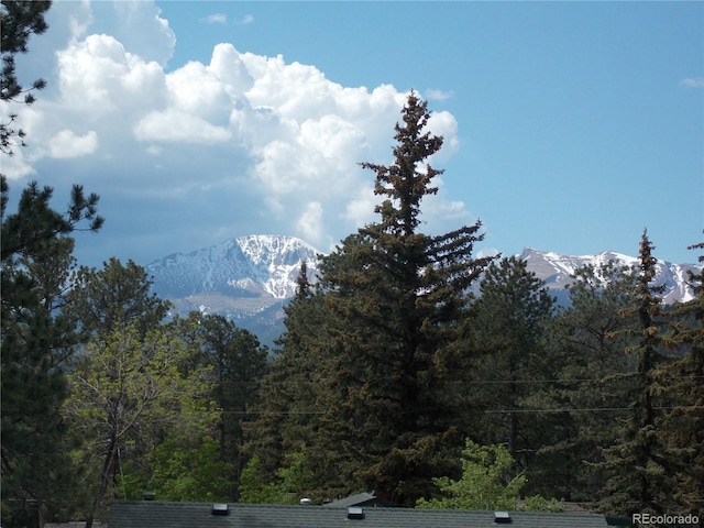 211 E Pikes Peak Ave, Woodland Park, CO 80863 - view of mountain background featuring a heavily wooded area