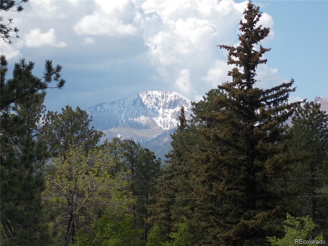 211 E Pikes Peak Ave, Woodland Park, CO 80863 - mountain view with a heavily wooded area