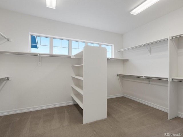 22263 Boundstone St, Parker, CO 80138 - photo 34